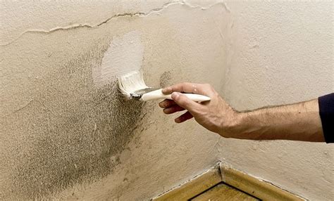 Paint for Damp Walls – Does It Work? | CorkSol