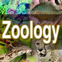 Zoology