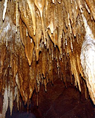 The Mathematical Tourist: Limestone Cave Formations