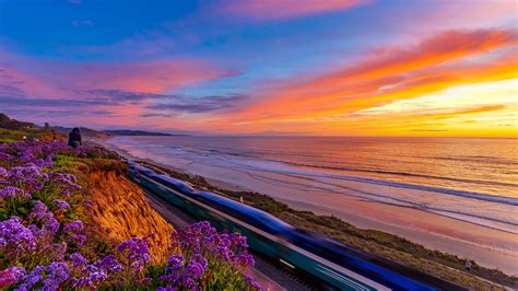 Train Between California Coast Pacific Ocean And Flowers During Sunset 4K 5K HD Nature ...