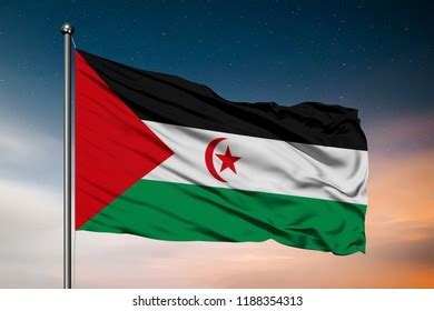 Sahrawi Arab Democratic Republic Flag Against Stock Photo (Edit Now ...