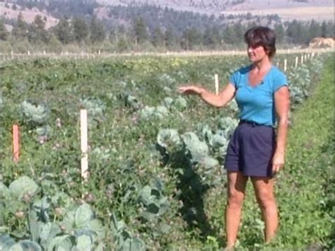 Living Mulch Sustainable Farming near Missoula - YouTube