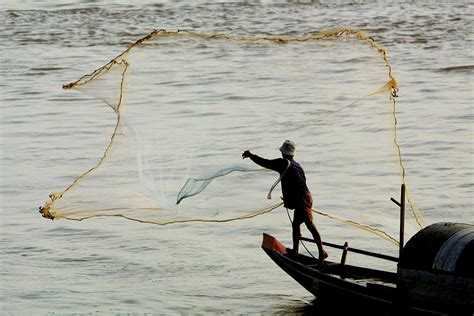 What’s at stake for the Mekong’s fishery | The ASEAN Post