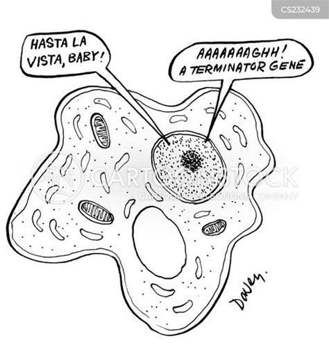 Cell Membrane Comic - Animation Endoplasmic Reticulum Cartoon | Dozorisozo