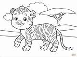 Tiger coloring page  Free Printable Coloring Pages sketch template