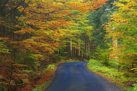 Laka | The way to the "Laka" lake, Šumava, CZ | Filip Mileret | Flickr