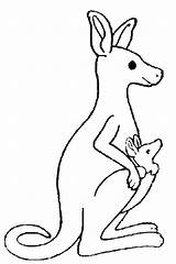 Free kangaroo Drawing To Download And color  Kangaroo Coloring Pages sketch template