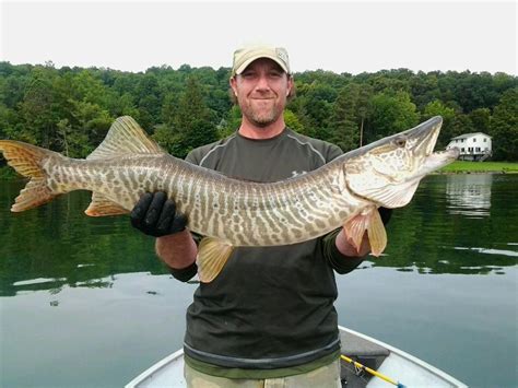 Veteran tiger muskie angler shares tips on fishing Otisco Lake ...