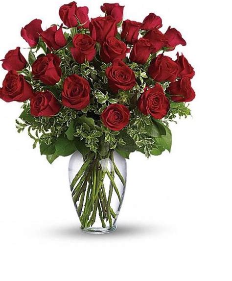 18 roses – Iris florist