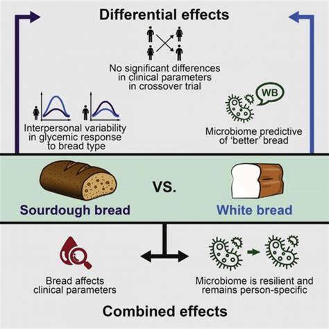 Apparently, white bread is just as healthy as brown bread for some ...