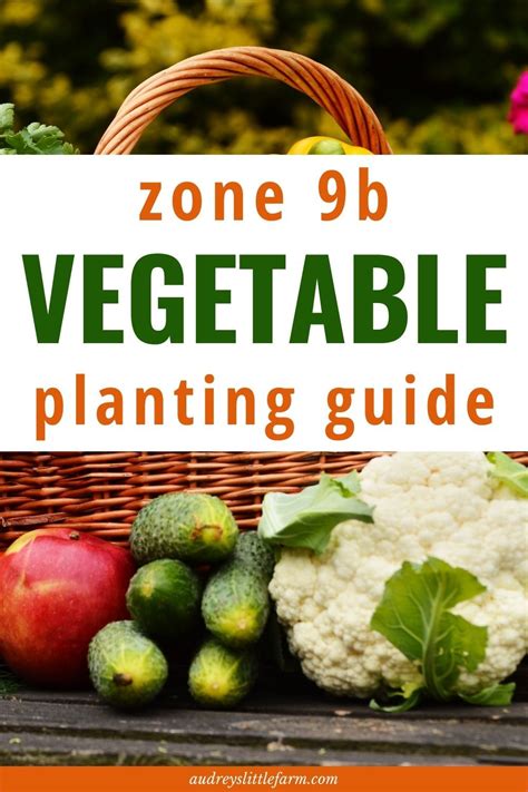 Pin on Vegetable Gardening