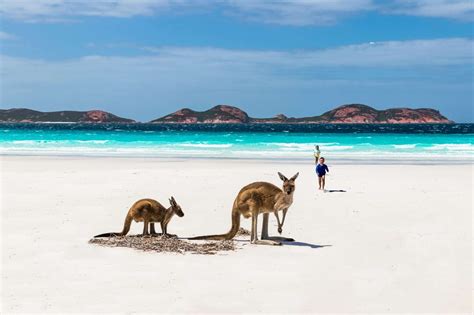 Top 10 Pristine Beaches in Western Australia - Travel With No Anchor