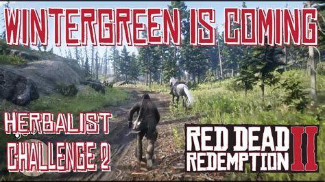 Wintergreen Berry Location Herbalist Challenge Red Dead Redemption 2 ...