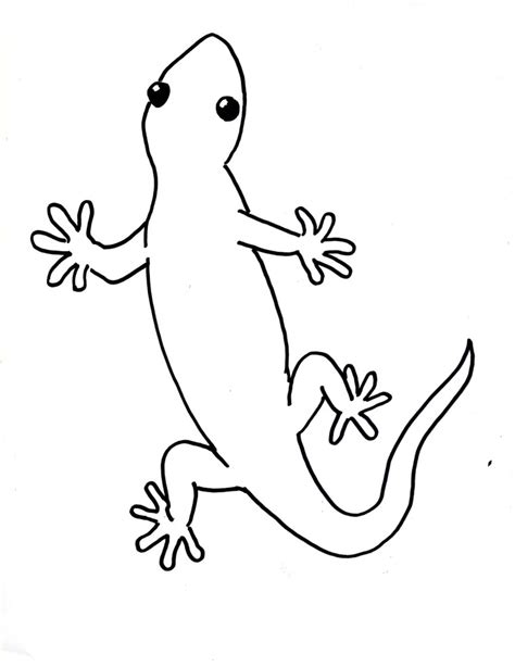 Amphibian Drawing at GetDrawings | Free download