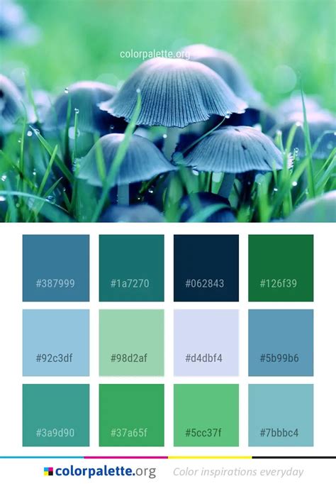 Blue Green Plant Color Palette | colorpalette.org