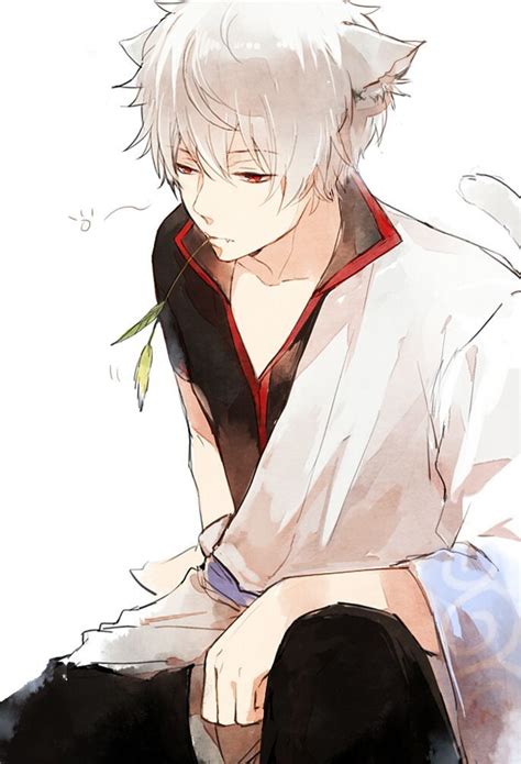 Gintoki with cat ears :D Manga Boy, Anime Cat Boy, Gato Anime, Anime Kawaii, Anime Neko, Manga ...