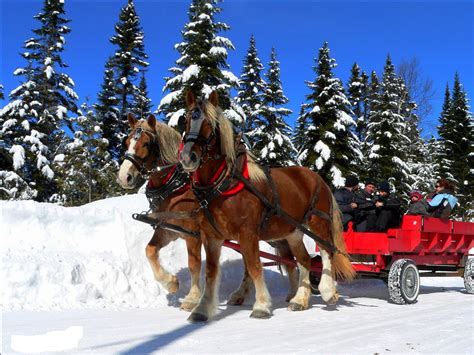 Sleigh Ride Free Stock Photo - Public Domain Pictures