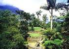 Ciudad Perdida, Colombia's Lost City: Travel Guide