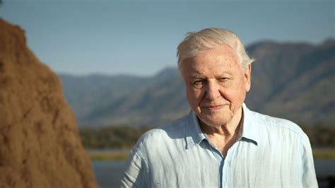 David Attenborough A Life On Our Planet - Esam Solidarity