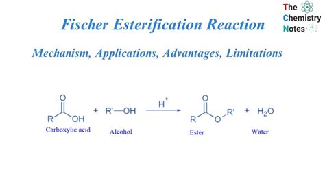 Fischer Esterification Reaction: Mechanism, Limitations