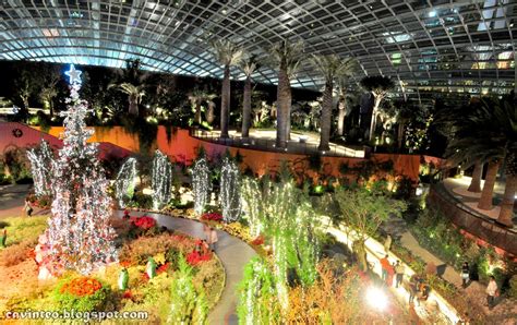 Entree Kibbles: Flower Dome [花穹] at Night @ Gardens by the Bay, Bay South