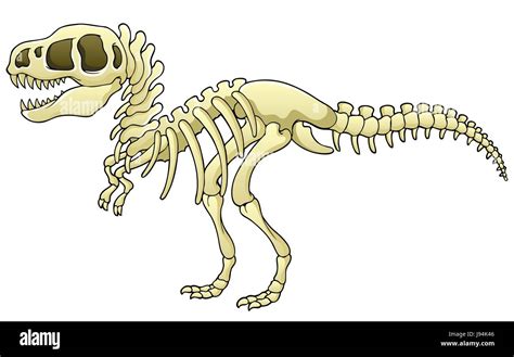 Tyrannosaurus rex skeleton drawing hi-res stock photography and images - Alamy