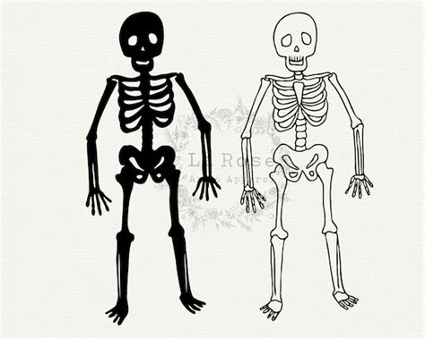 Cute Skeleton Clipart Black And White