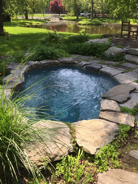 Natural Swimming Ponds, Natural Pond, Swimming Pools Backyard, Ponds ...