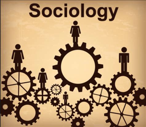 12 Signs You're A Sociology Major Sociology Major, Political Sociology ...