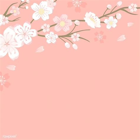 Download free vector of Pink cherry blossom blank background vectot by manotang about… | Cherry ...