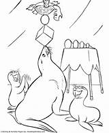 Circus Seal Coloring Page sketch template
