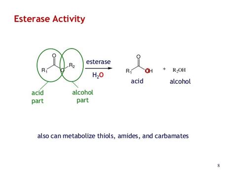 Human esterases: Chemical and Biochemical Considerations