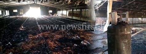 Chicken farm goes up in flames following gas leak; 3,000 birds dead