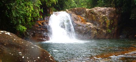 Sinharaja Rain-forest | Adventure Birding