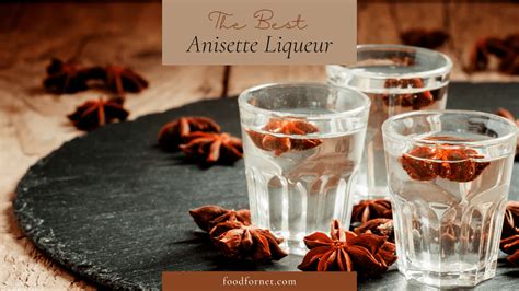 The Best Anisette Liqueur | Food For Net