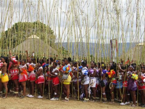 Zulu Reed Dance 2023 Video