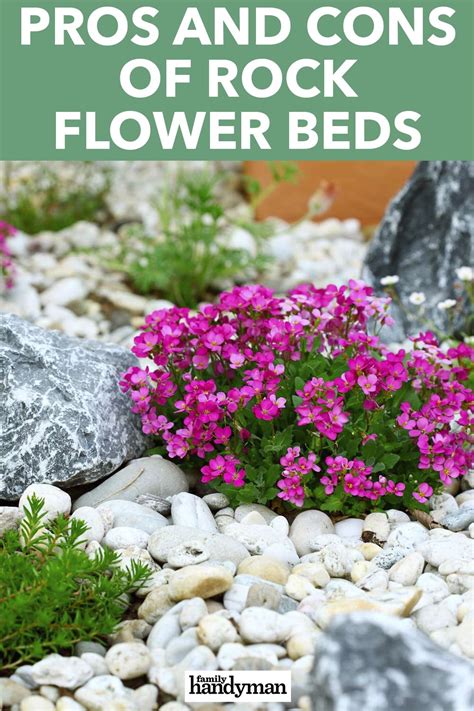 What To Know About Using Gravel Mulch | Rock flower beds, Landscaping around trees, River rock ...