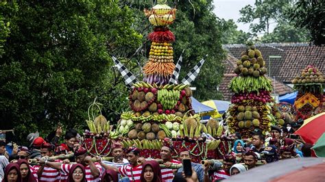 Durian Harvest Indonesia - Sere Fruit