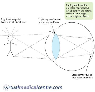 Vision and the eye’s anatomy | Healthengine Blog