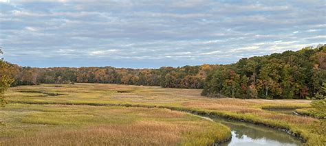 Fall foliage at Virginia State Parks: Peak periods by region