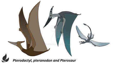 Pterodactyl Pteranodon and Pterosaur - Design by zavraan on DeviantArt