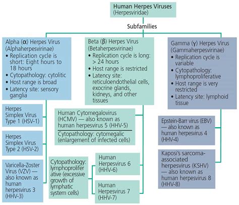 Reducing Transmission of Herpes Simplex Virus Type 1 In Clinical Practice - Decisions in Dentistry