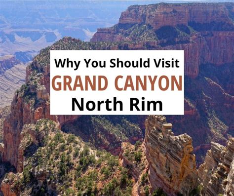 Grand Canyon North Rim Day Trip and Why You Should Go