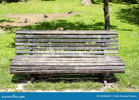 Public Garden Wooden Bench with Animal Waste Stock Photo - Image of ...