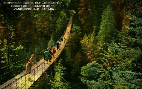 1935 CAPILANO SUSPENSION BRIDGE - Capilano Suspension Bridge postcard ...