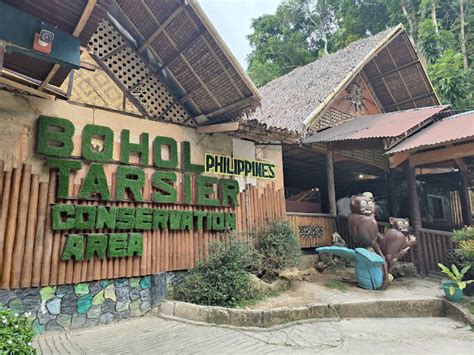 Bilar Bohol Tarsier Sanctuary: A Haven for Endangered Primates