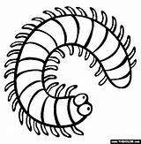 Millipede Coloring Page  Free Online Ladybug sketch template
