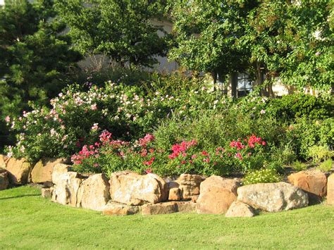 TEXAS LANDSCAPE DESIGN & CONSULTING | Landscaping with rocks, Backyard ...