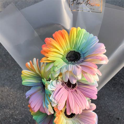 Rainbow Gerbera Daisy Bouquet – Floral Passion SG