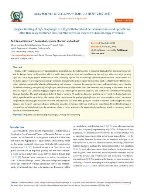 (PDF) Surgical Grafting of Pig's Diaphragm in a Dog with Rectal and Perianal Adenoma and ...